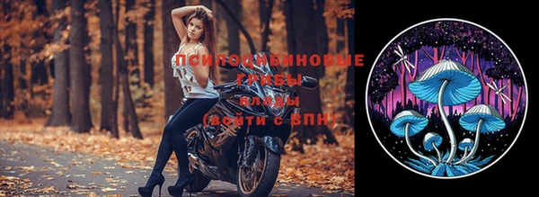 сатива Белоозёрский