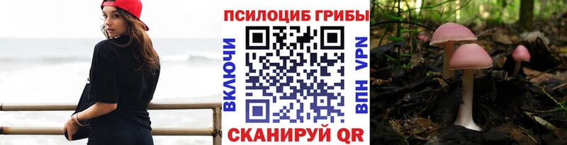 Псилоцибиновые грибы Cubensis  Верея 