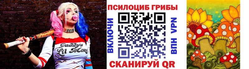 Галлюциногенные грибы GOLDEN TEACHER Верея